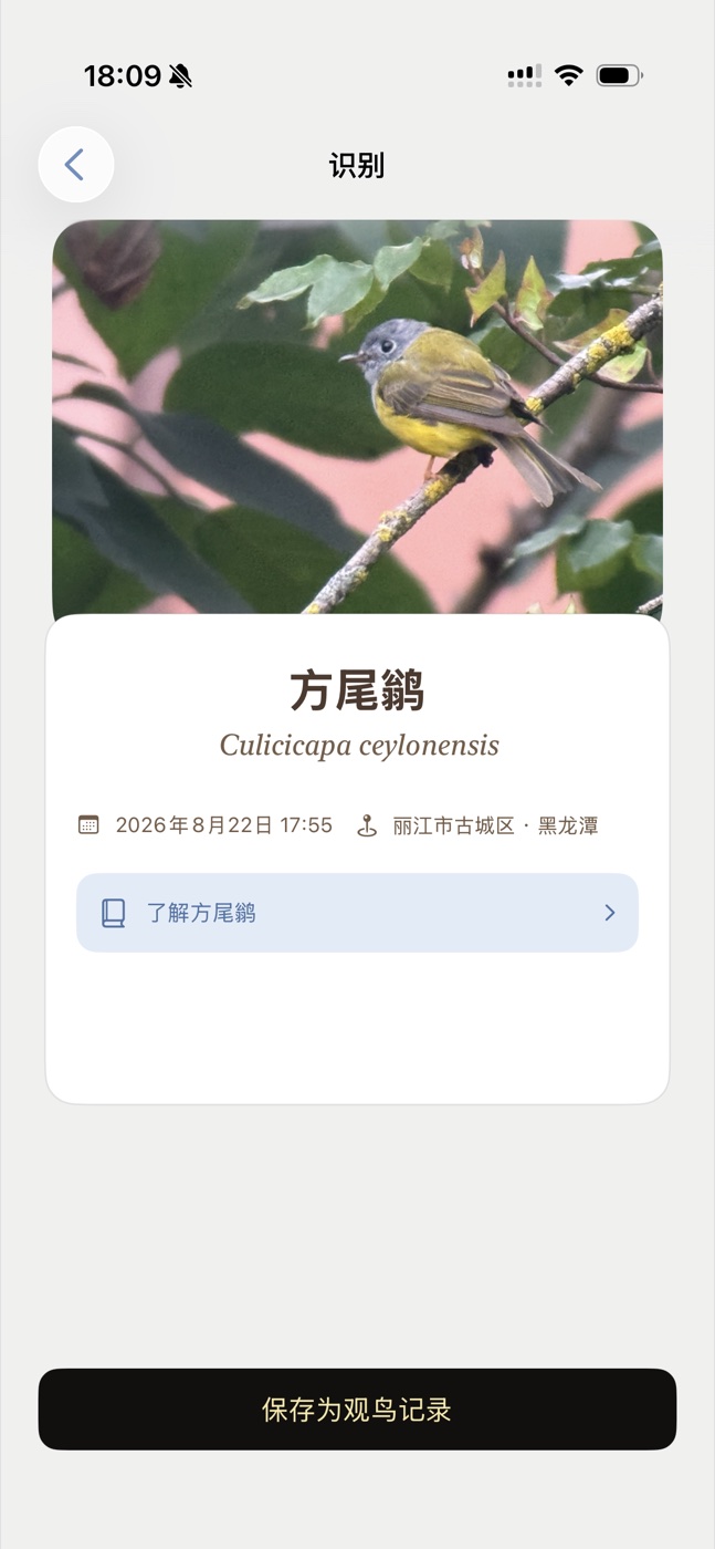 智能识鸟界面