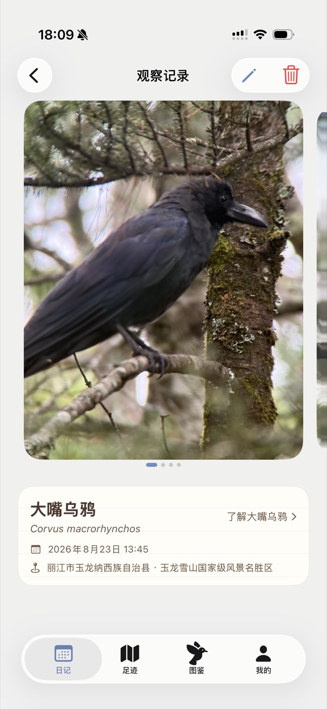 观察记录界面